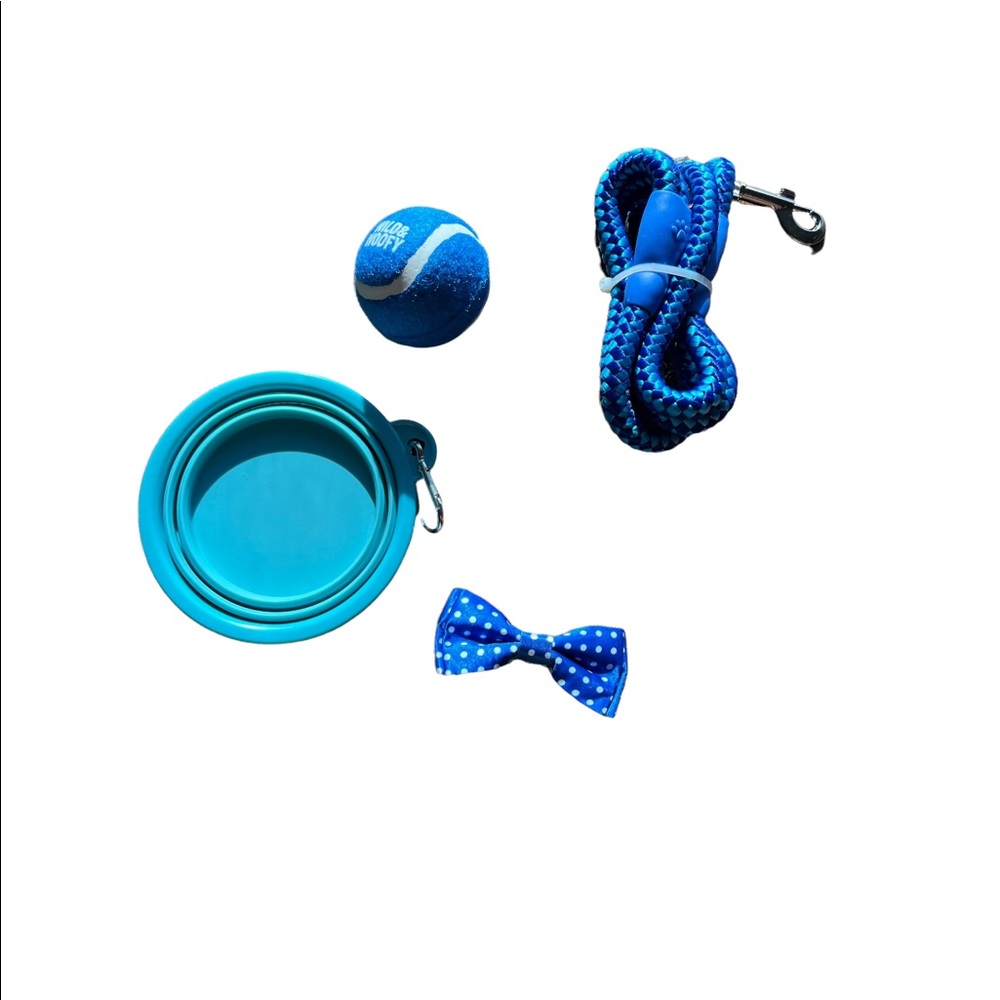 PET DOG starter Kit